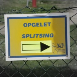 imgp8251 - Sportraad Zaventem 